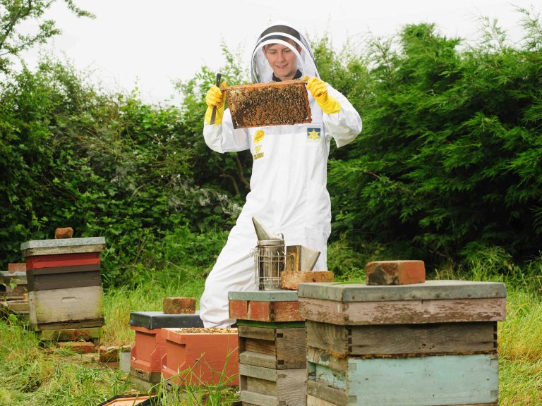 Chris Vaughan Photography - PR and communications images | A young beekeeper inspects his bees.