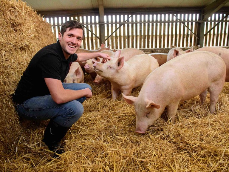 Chris Vaughan Photography - commercial images | Graham from Uncle Henry's knelt down with a group of pigs.